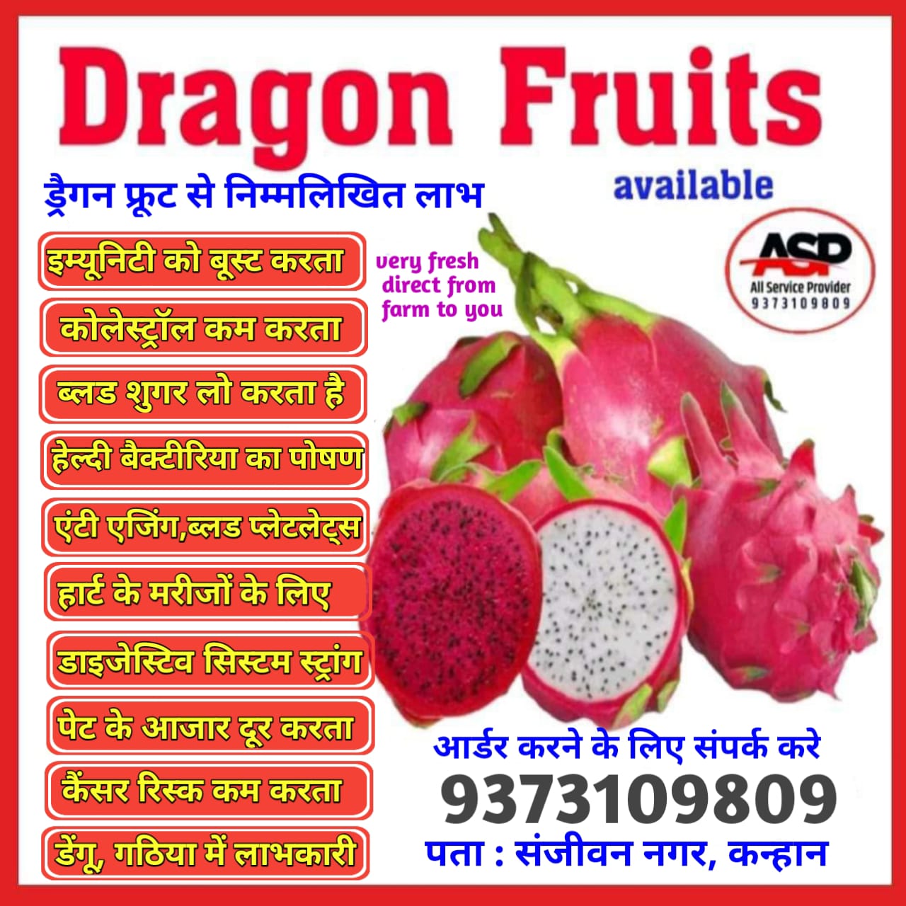 Dragon Fruit Farm