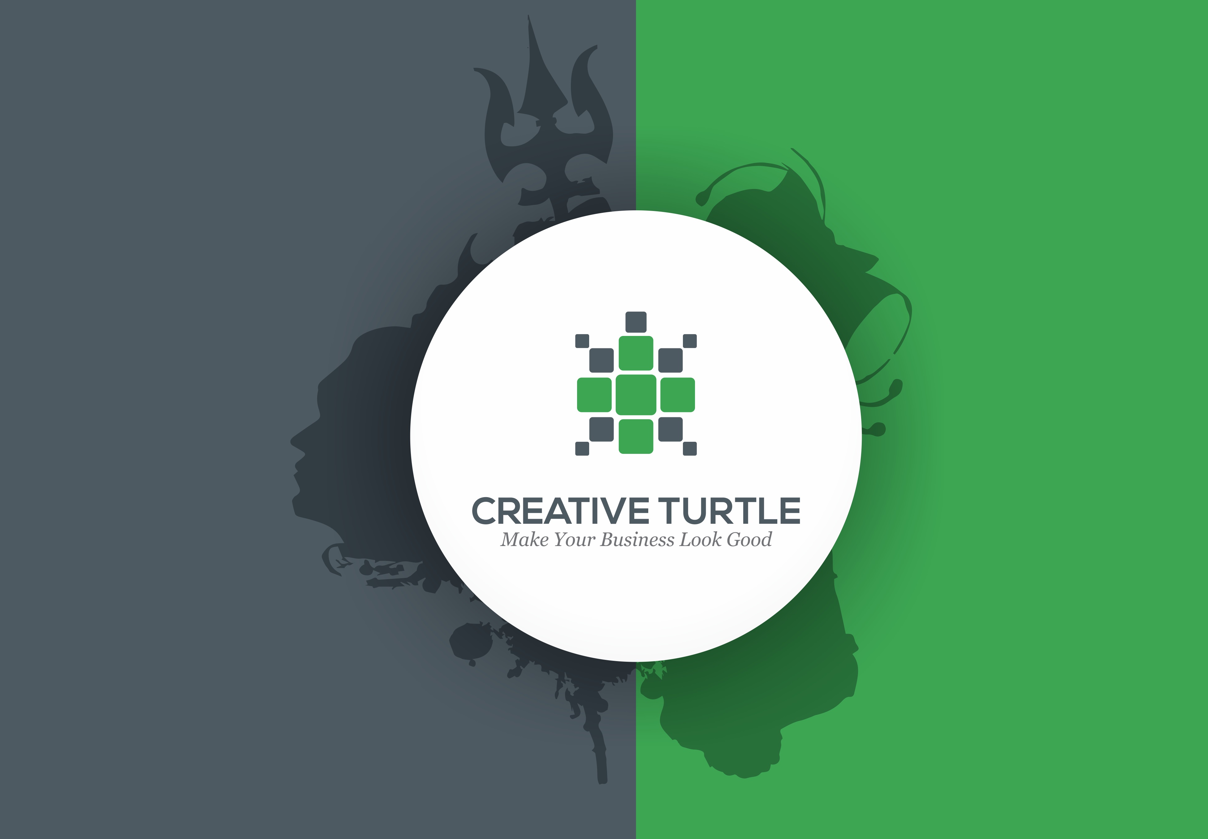 Creative Turtle